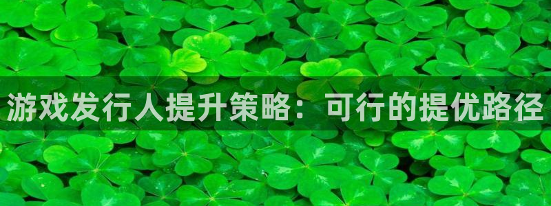 蓝图娱乐价 5O6917 蓝图娱乐官网：游戏发行人提升策略：可行的提优路径