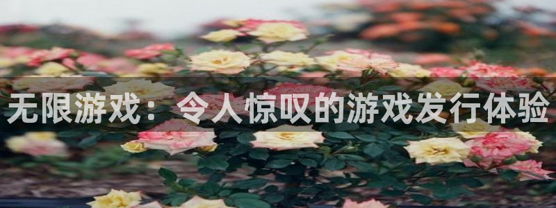 蓝图娱乐官网运动装有哪些品牌：无限游戏：令人惊叹的游戏发行体验