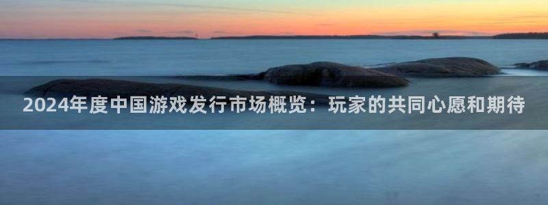 蓝图娱乐骗局是真的吗：2024年度中国游戏发行市场概览：玩家的共同心愿和期待