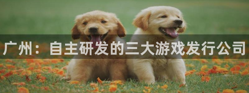 蓝图娱乐注册方法视频教程：广州：自主研发的三大游戏发行公司