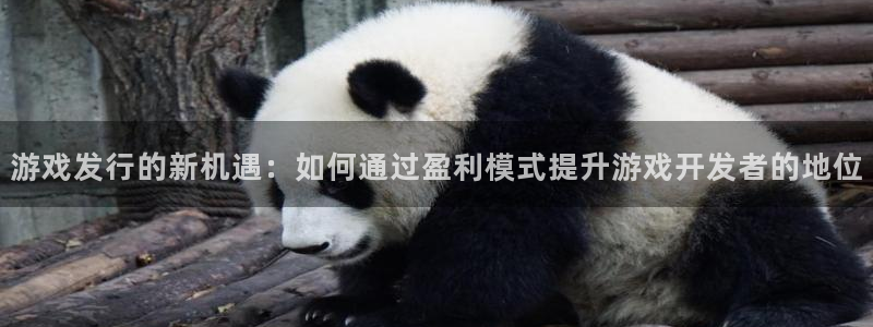 蓝图娱乐解绑银行卡怎么解绑：游戏发行的新机遇：如何通过盈利模式提升游戏开发者的地位