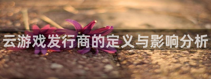 广州蓝图娱乐官网运动服：云游戏发行商的定义与影响分析