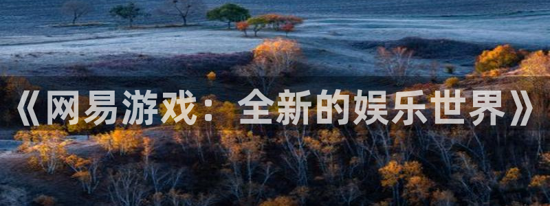 蓝图娱乐官网品牌设计：《网易游戏：全新的娱乐世界》