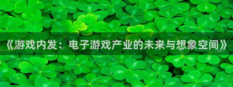 蓝图娱乐官网子公司怎么样：《游戏内发：电子游戏产业的未来与想象空间》